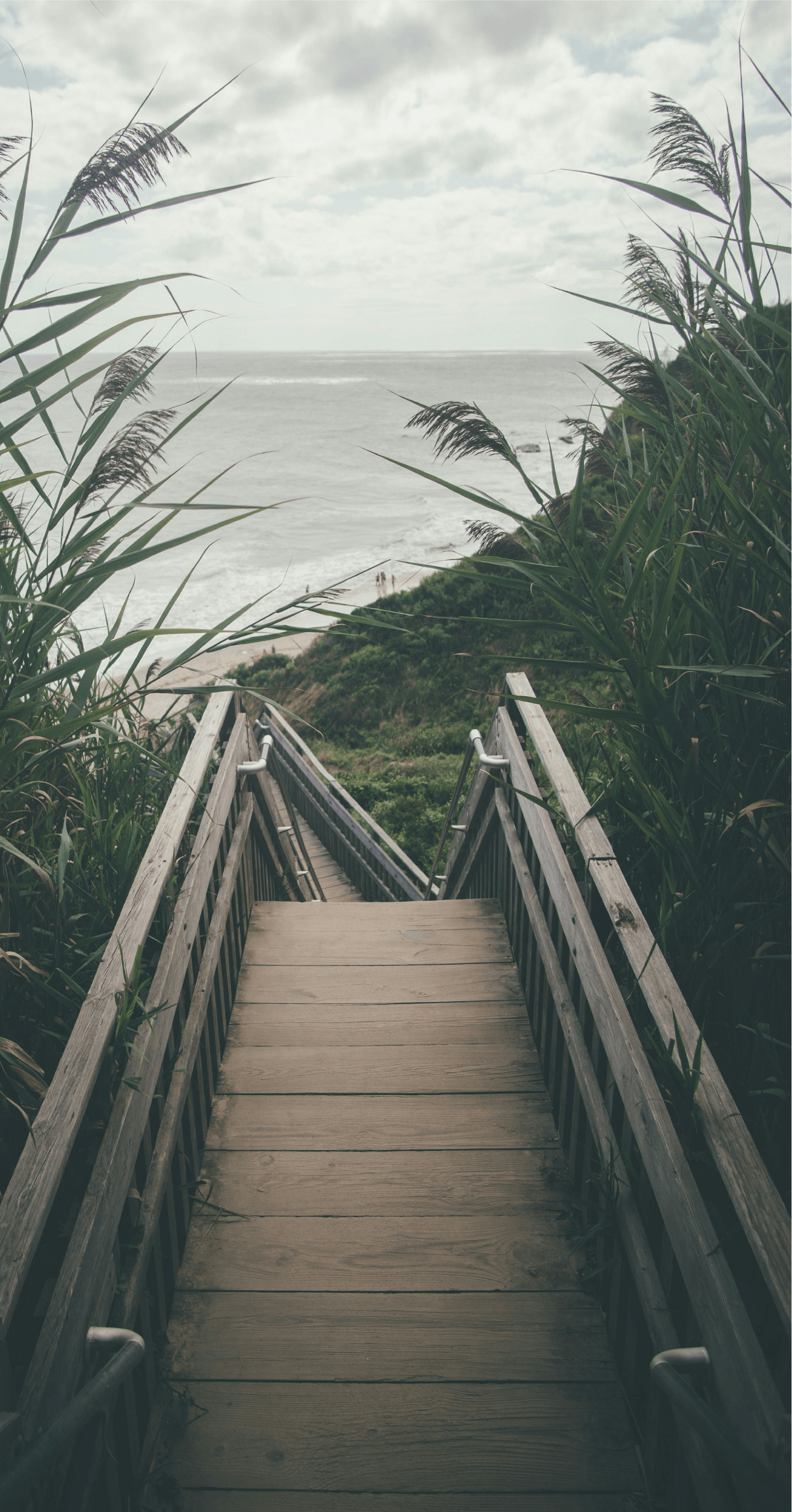 Coastal boardwalk path